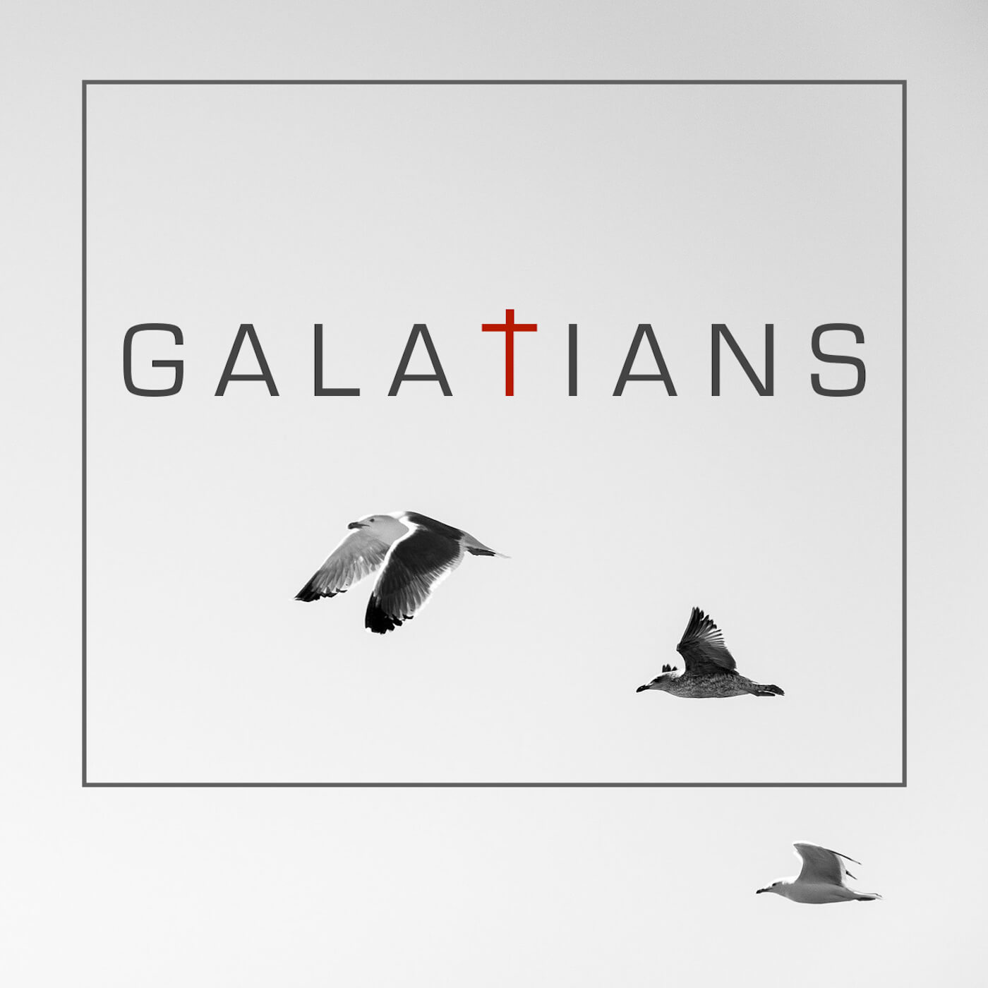 Galatians Album Cover, the word Galatians in black on white background, red cross for the t, and birds flying