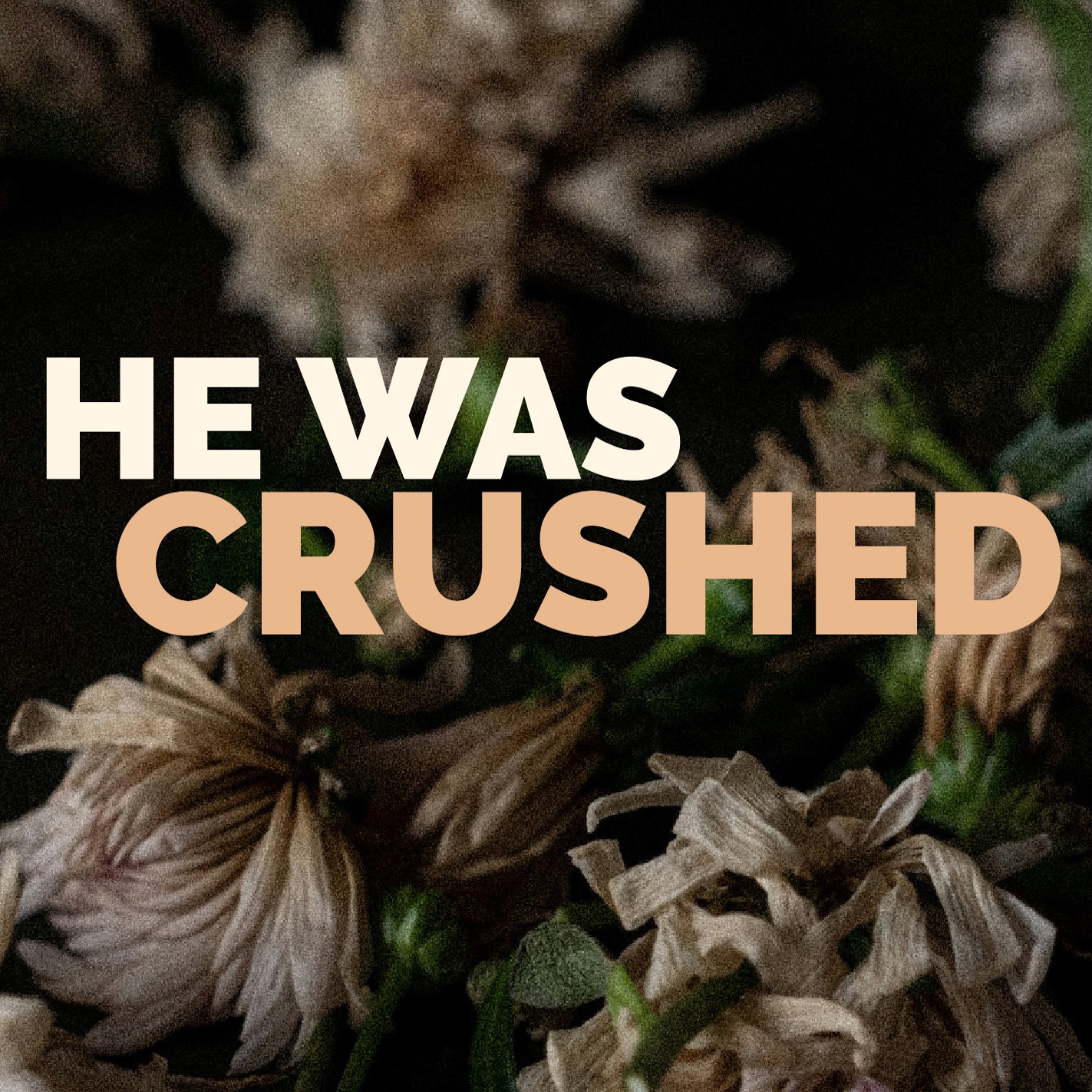 the words He Was Crushed with a floral background