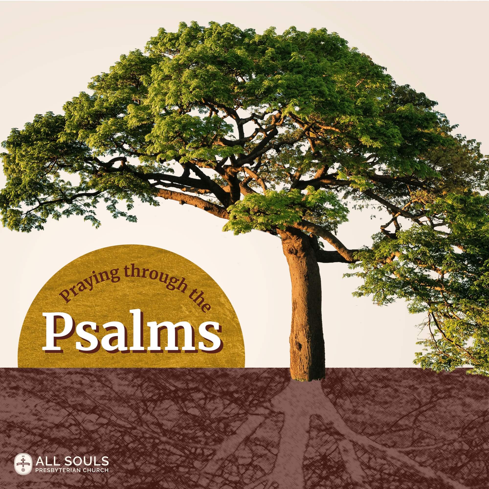 a tree and roots with a sun rising with the words Praying through the Psalms