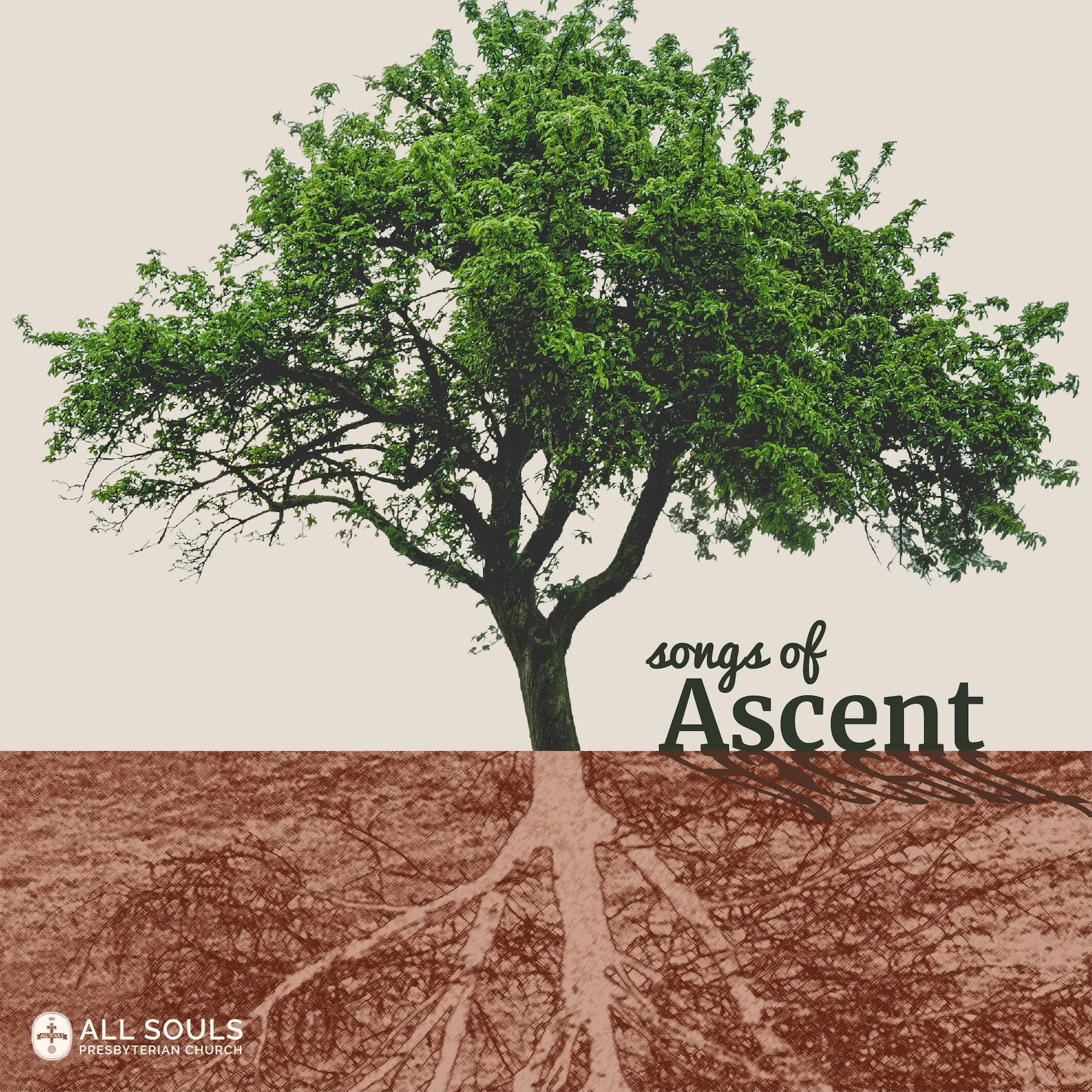 a green tree with brown roots visible and the words songs of ascent