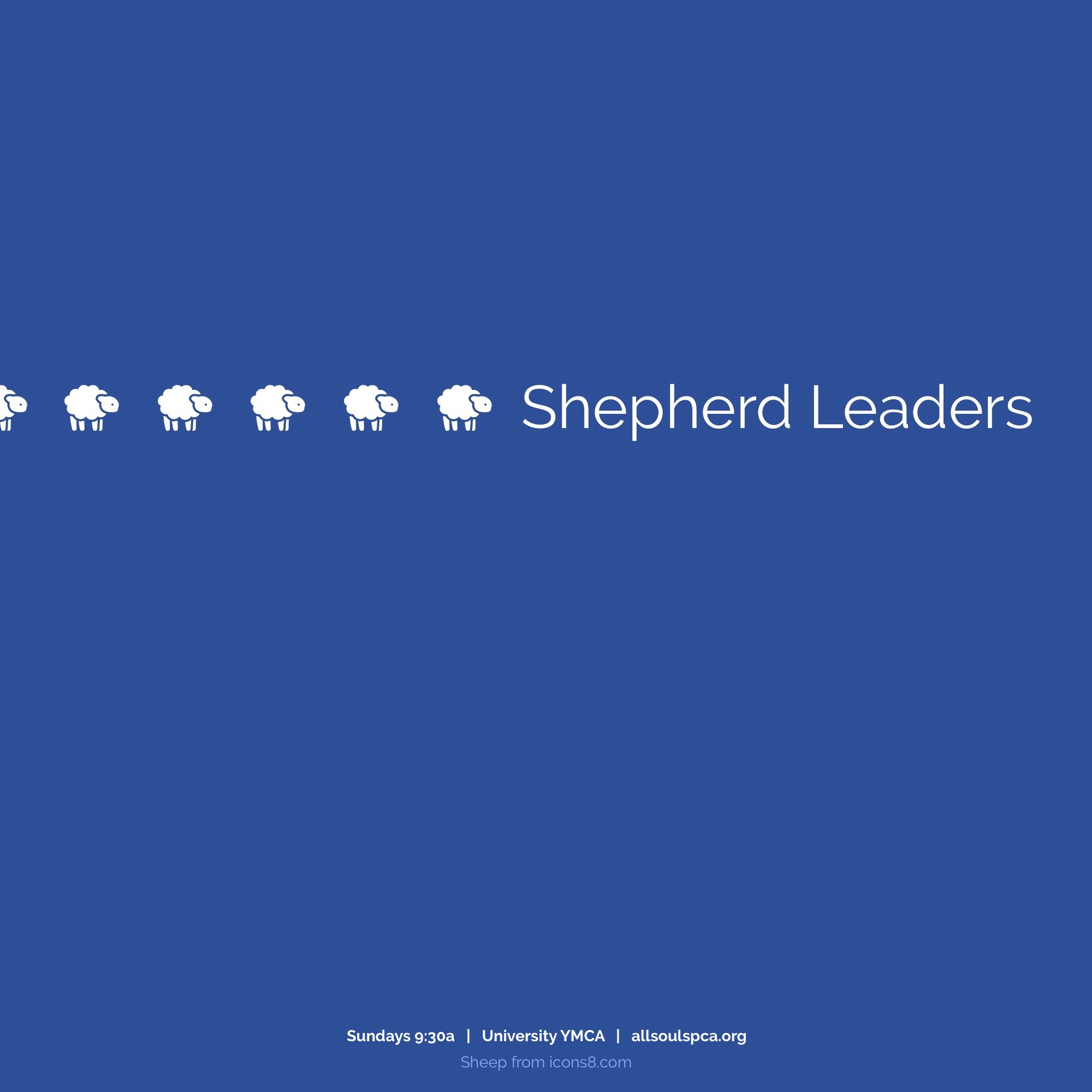 blue background with white sheep and the words 'Shepherd Leaders'